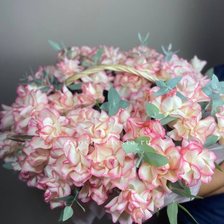 51 джумилия  в корзине   в Казани