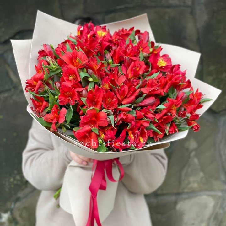 51 альстромерия в Казани