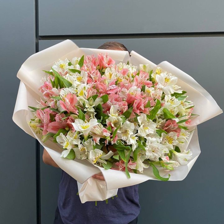 39 альстромерий в Казани