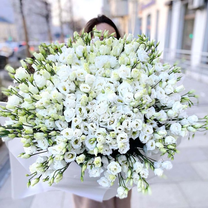 101 белая эустома в Казани