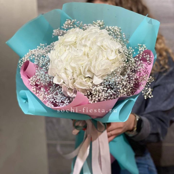 Гортензия "Райдов" в Казани