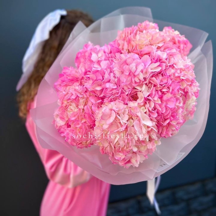 7 ярко розовых гортензий в Казани