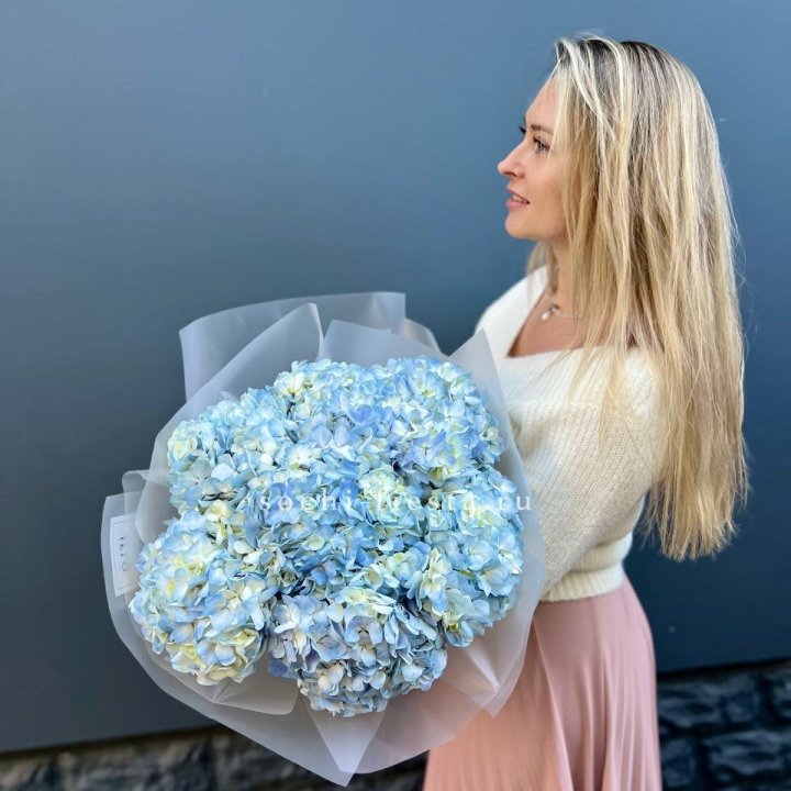 7 голубых гортензий в Казани
