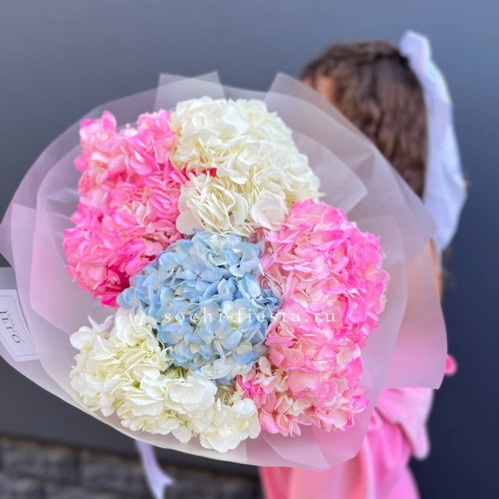 7 гортензий микс в Казани