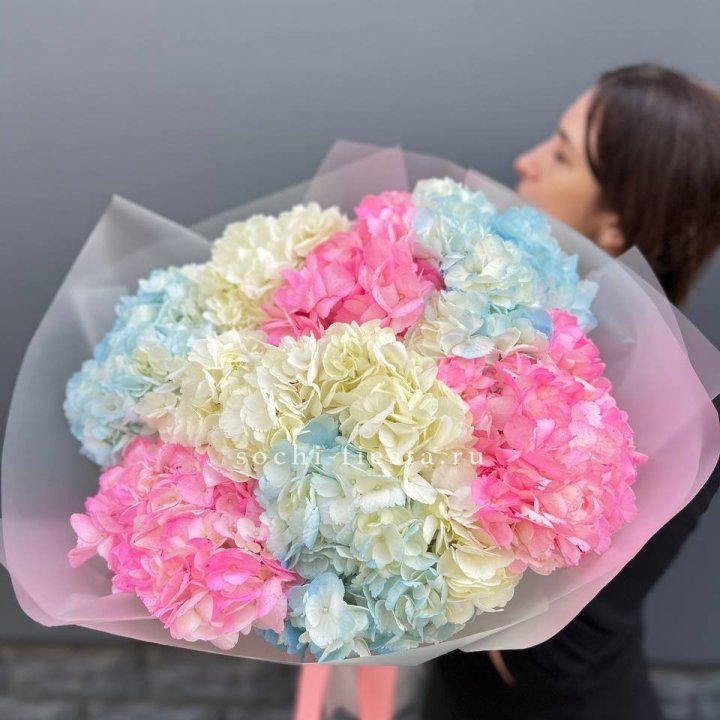 9 гортензий микс в Казани