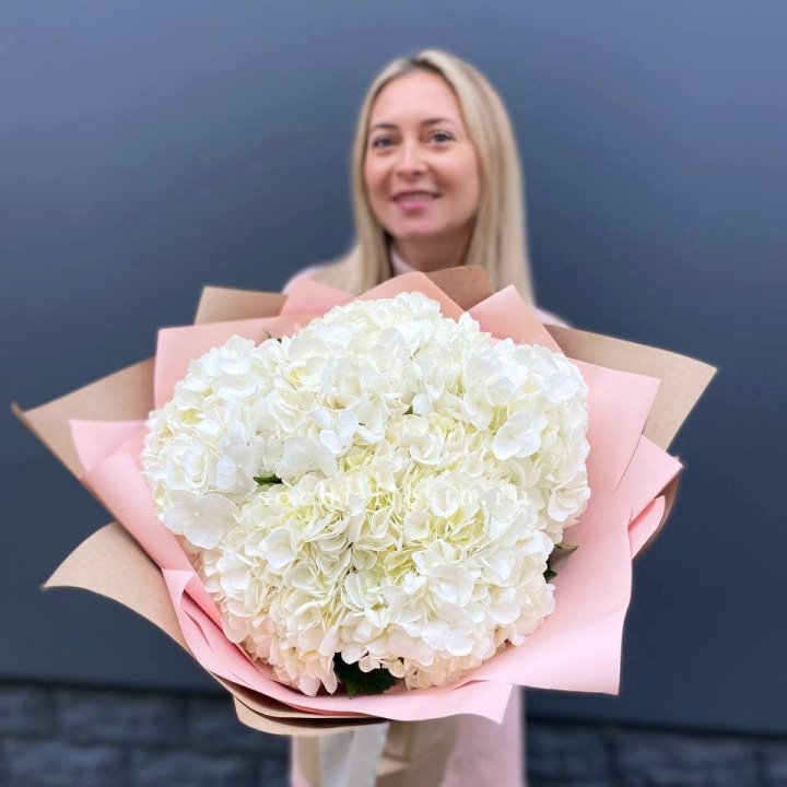 Гортензия белая в Казани