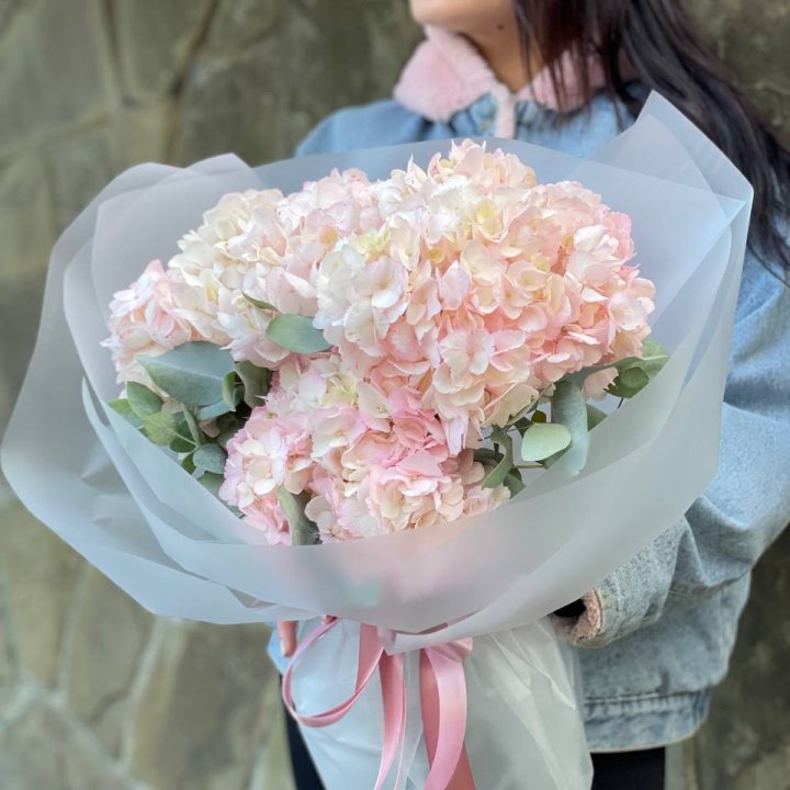 5 розовых гортензий в Казани