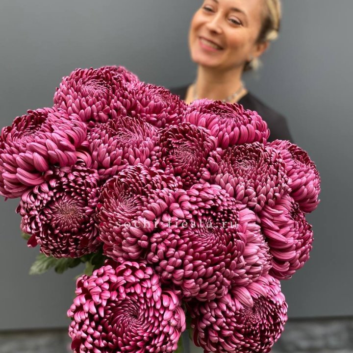 Охапка хризантем Бигуди в Казани