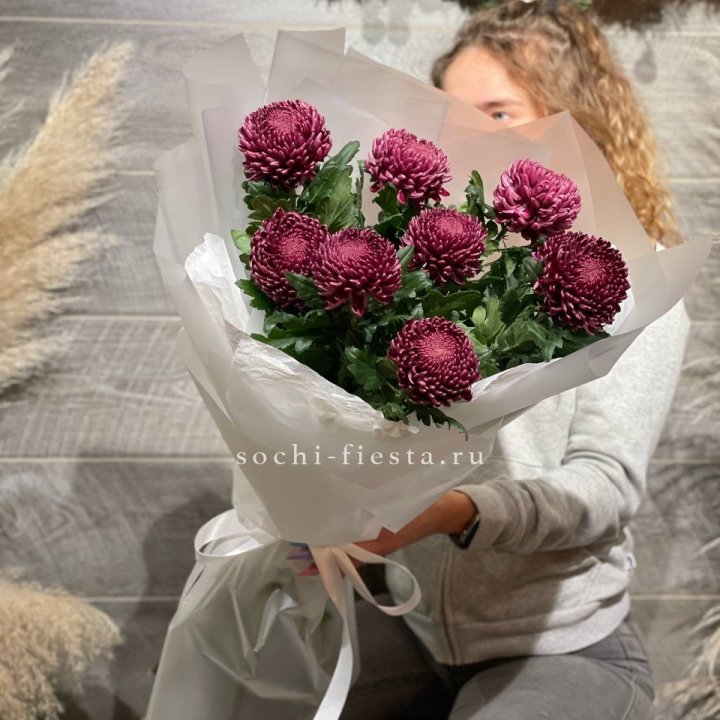 Хризантемы Бигуди в Казани