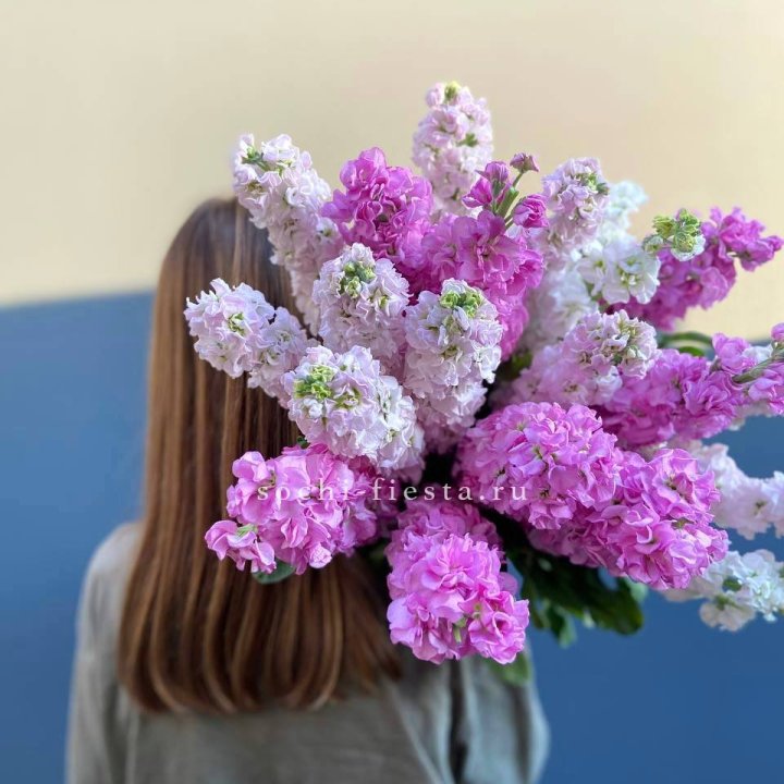 Охапка маттиолы в Казани