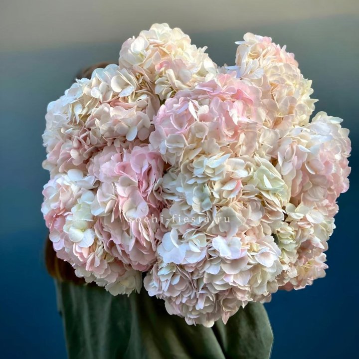 Охапка розовой гортензии в Казани