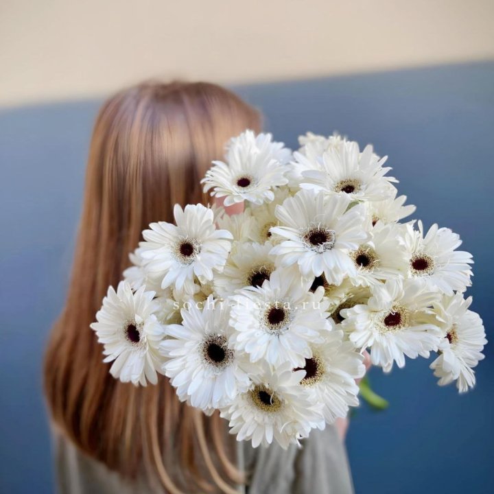 Охапка гербер в Казани