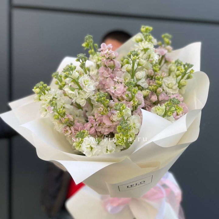 29 маттиол  в Казани