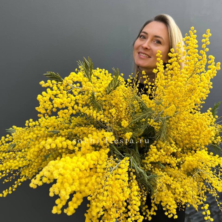 Охапка мимозы №2 в Казани
