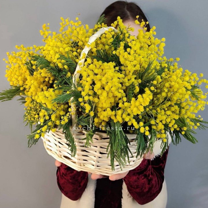 Корзина ароматной мимозы в Казани