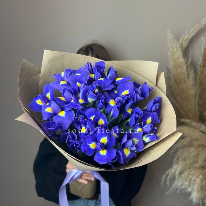 Ирисы в Казани