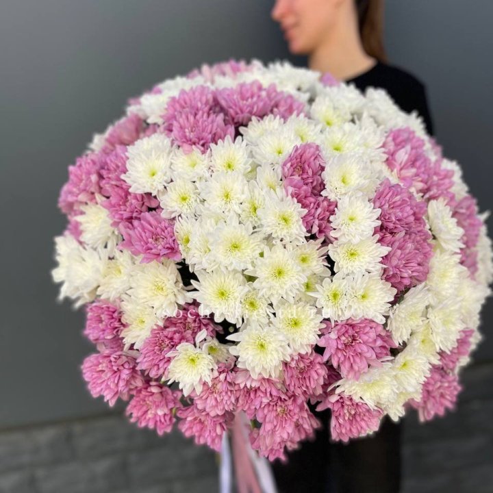  Букет 25 хризантем микс в Казани