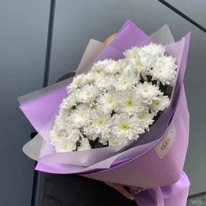  7 хризантем  в Казани