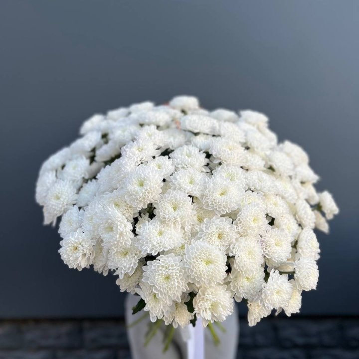  25 хризантем белых в Казани