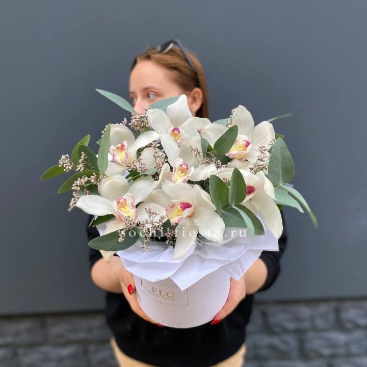 7 орхидей в боксе в Казани