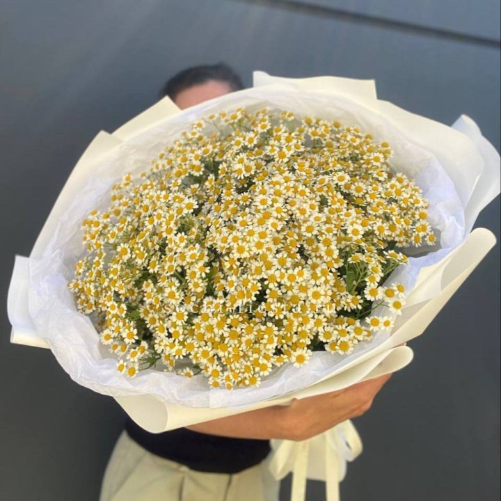 Букет ромашек №2 в Казани