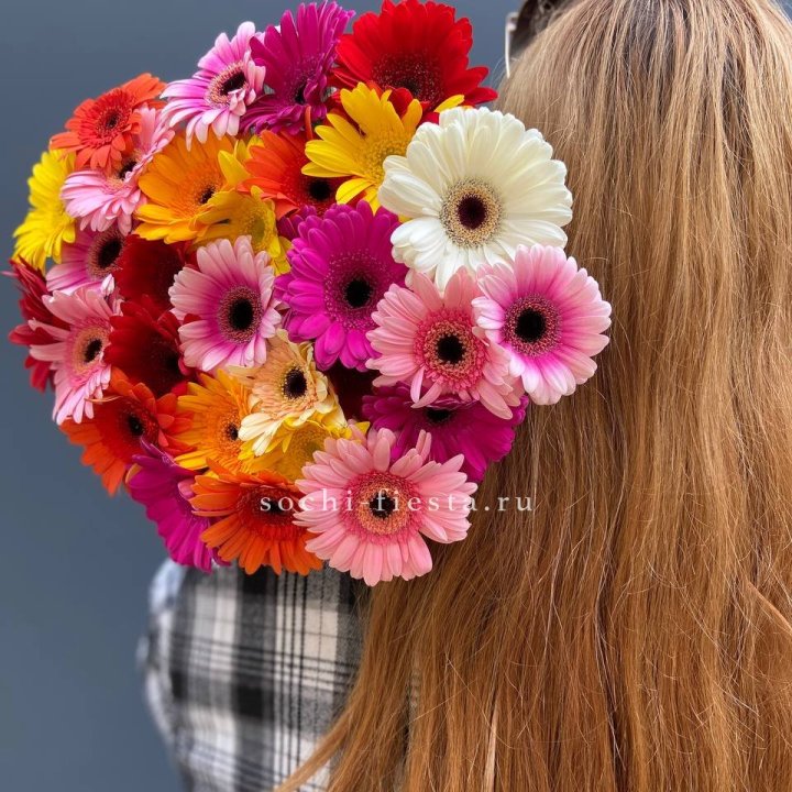 Охапка гербер  в Казани