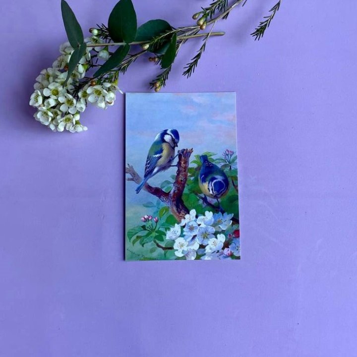 Открытка к букету "Птицы" в Казани