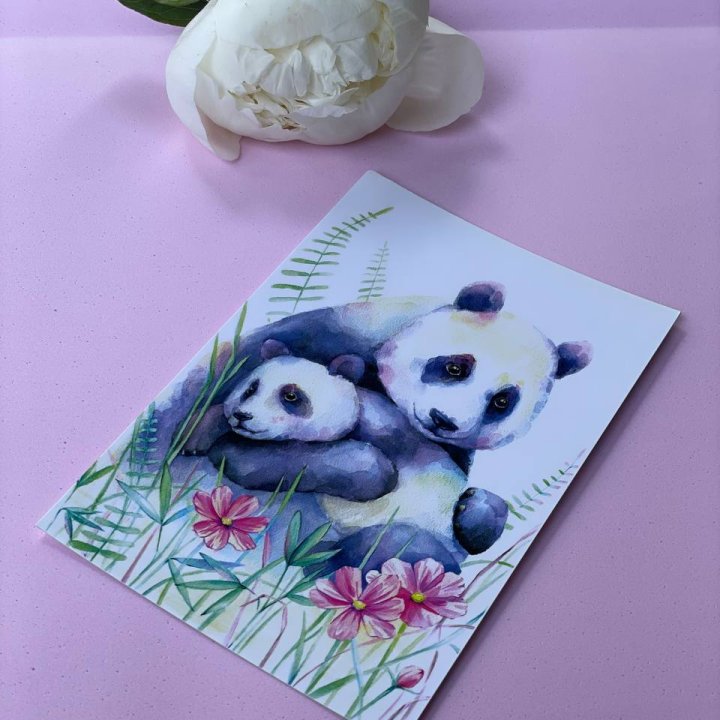 Открытка к букету "Объятие Панды" в Казани