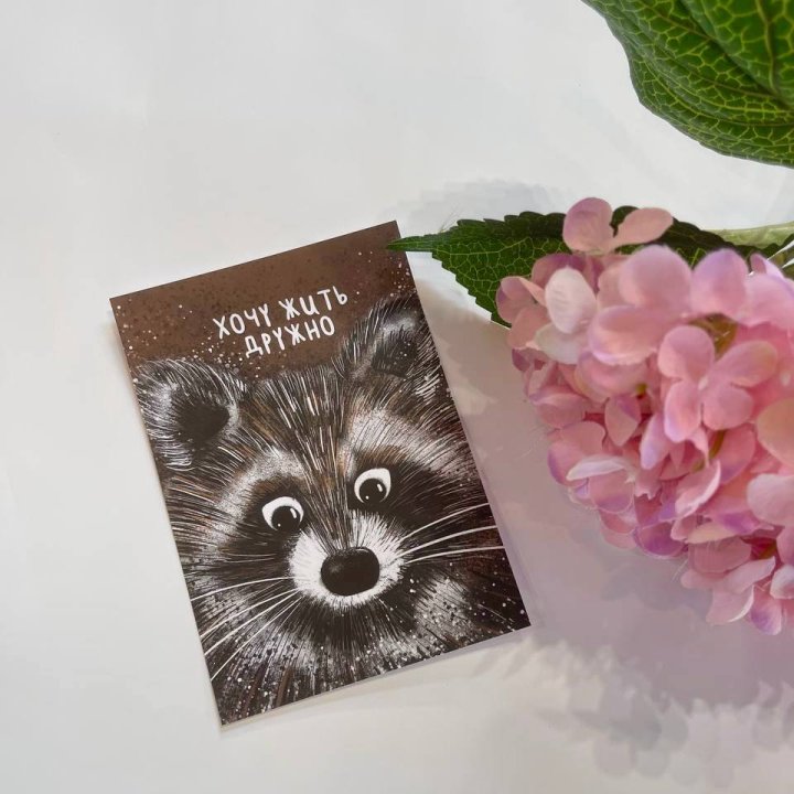 Открытка к букету "Енотик" в Казани