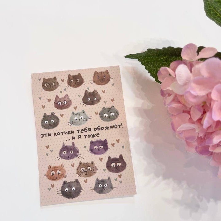Открытка к букету "Котики" в Казани