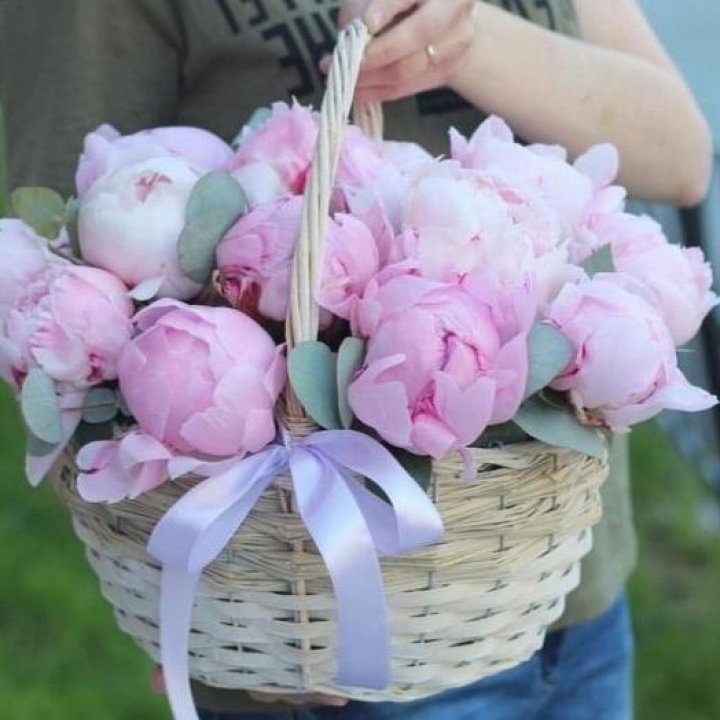 15 пионов в корзине в Казани