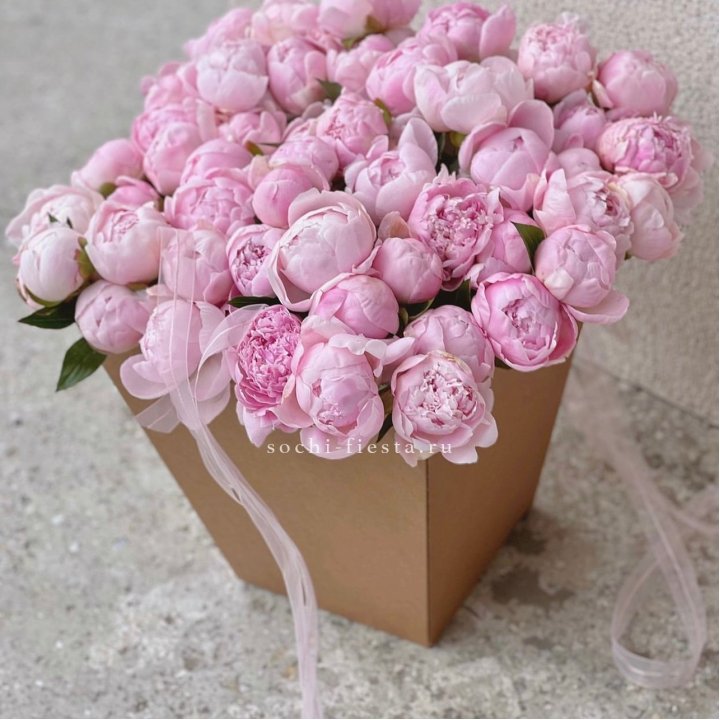 49 пионов в крафт коробке в Казани