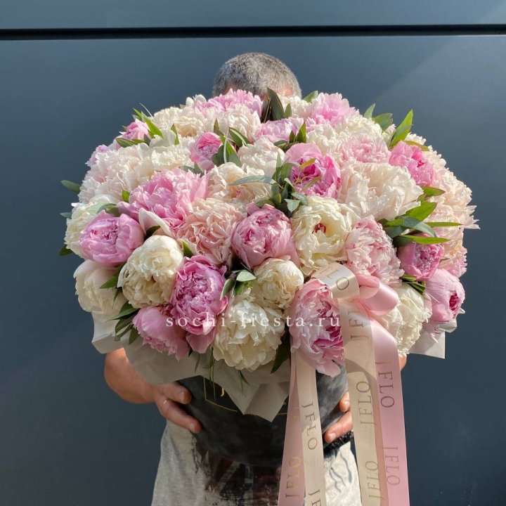 51 пионов в боксе в Казани