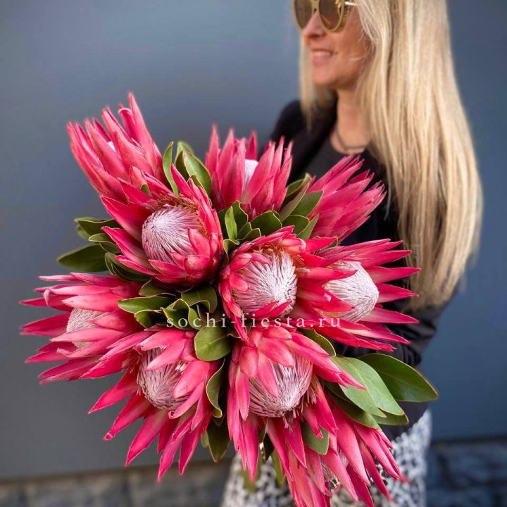 Протея штучно в Казани