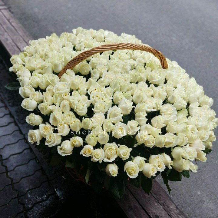303 розы в корзине в Казани