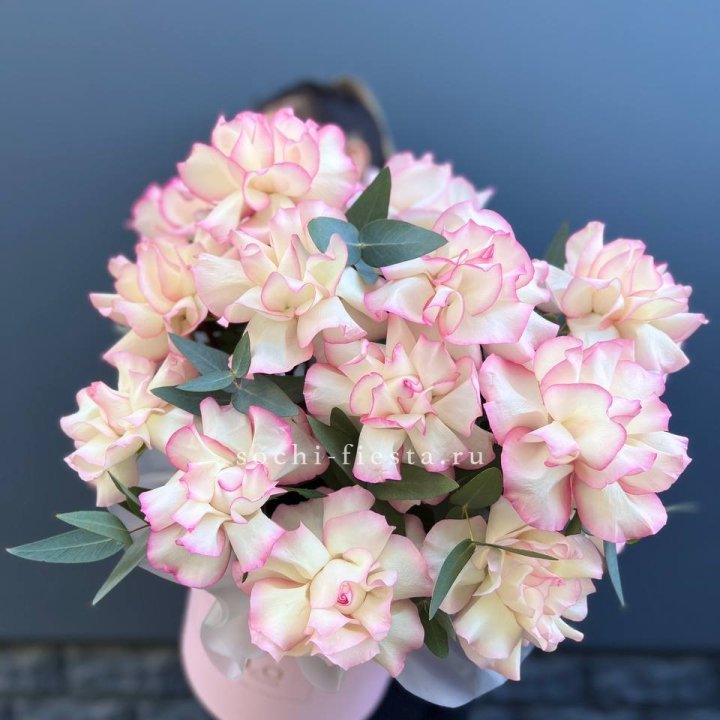 15 Французских роз Джумилия в боксе в Казани