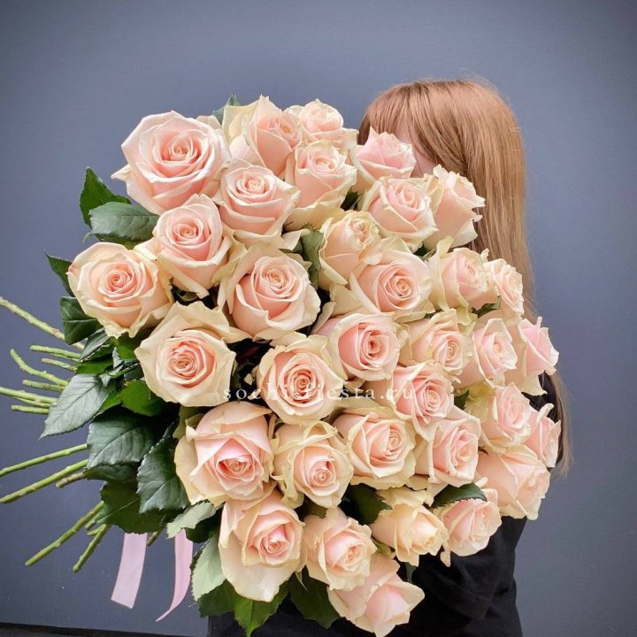 35 кремовых высоких роз в Казани