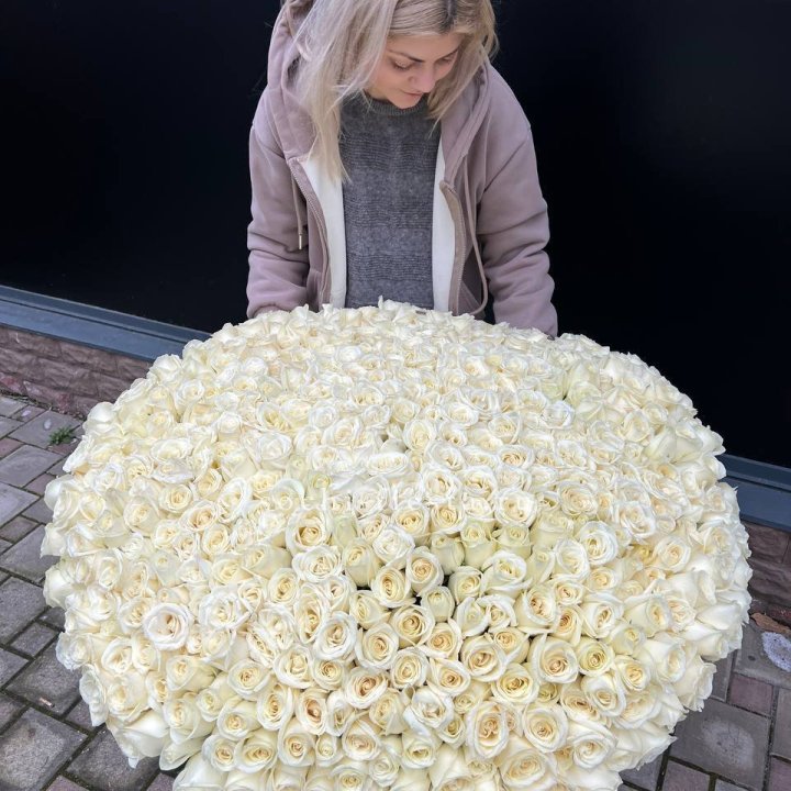 501 белая роза в корзине в Казани