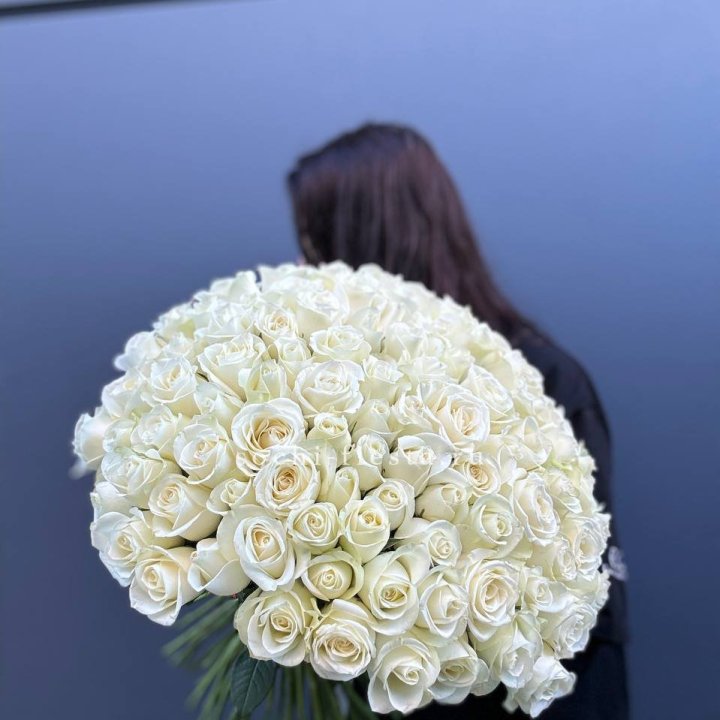 Охапка из 101 белой розы  в Казани