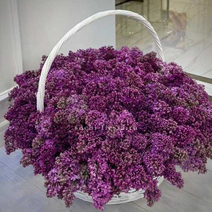 Корзина сирени в Казани