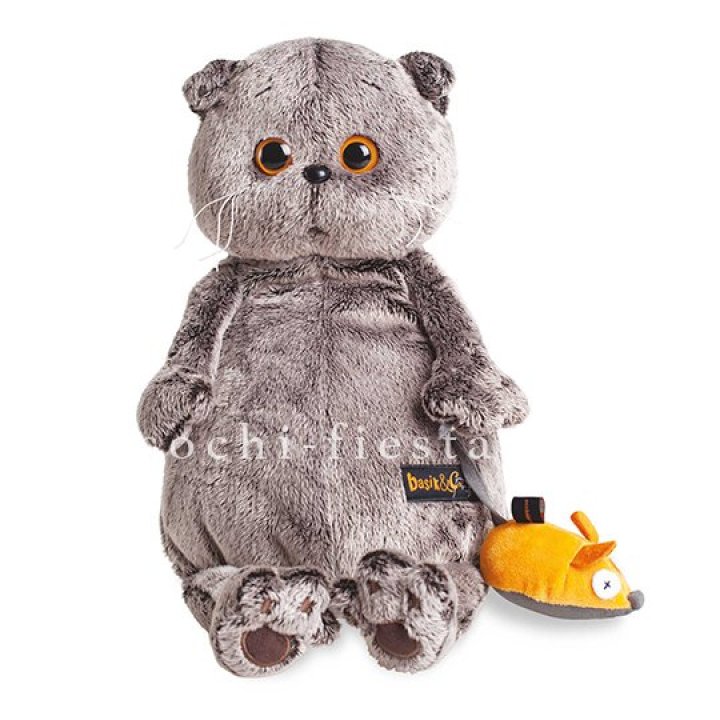 Кот Басик с мышкой в Казани