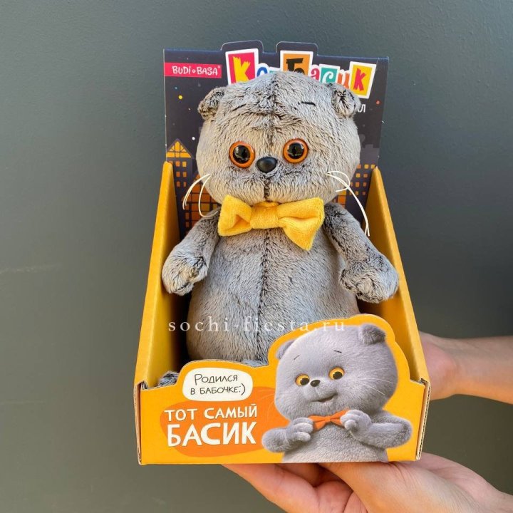 Кот Басик с бабочкой в Казани