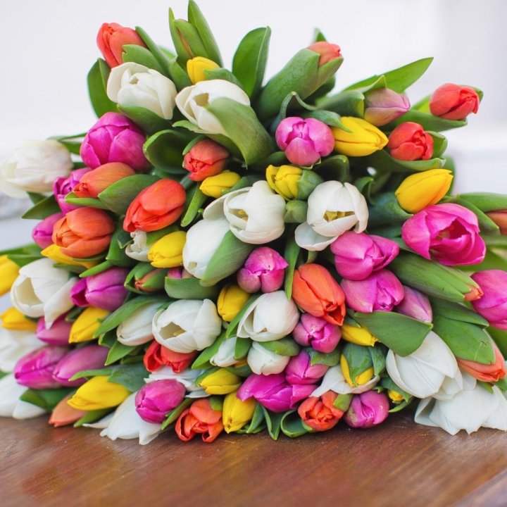 79 тюльпанов "Рандом" в Казани