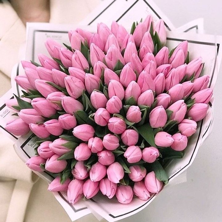 101 розовый тюльпан в белом в Казани