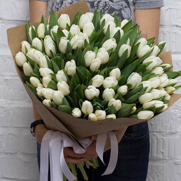 101 тюльпан сноу в Казани