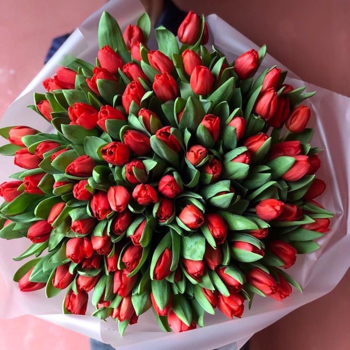 101 красный тюльпан в Казани